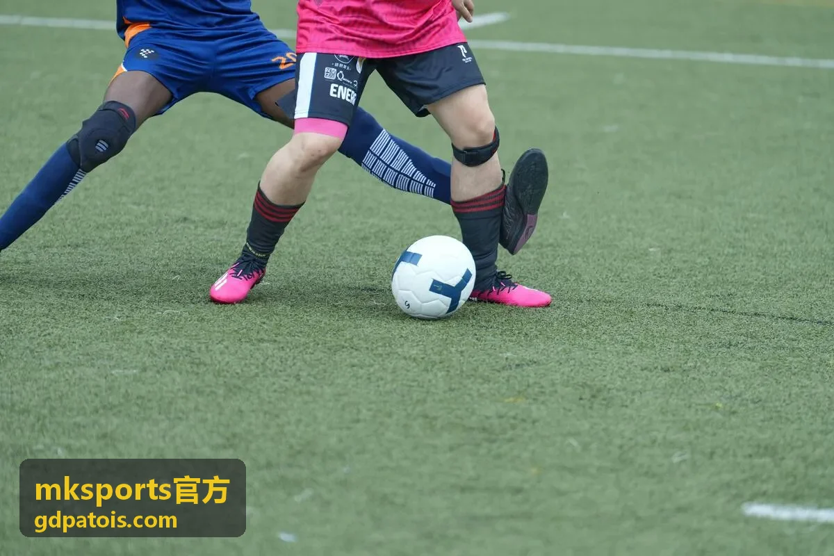 mksports官方场馆服务中的多功能球馆与力量训练区