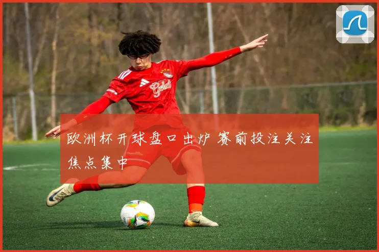 欧洲杯开球盘口出炉 赛前投注关注焦点集中