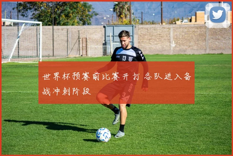 世界杯预赛前比赛开打 各队进入备战冲刺阶段