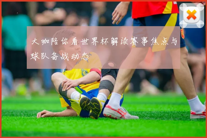 大咖陪你看世界杯解读赛事焦点与球队备战动态