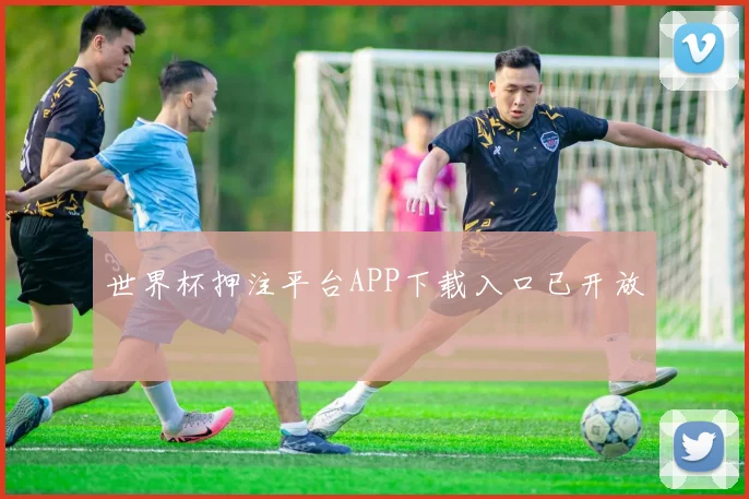 世界杯押注平台APP下载入口已开放