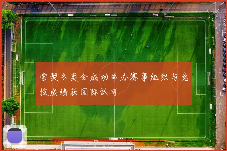 索契冬奥会成功举办赛事组织与竞技成绩获国际认可