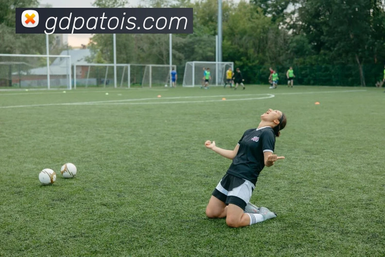 世界杯官方入口全站App